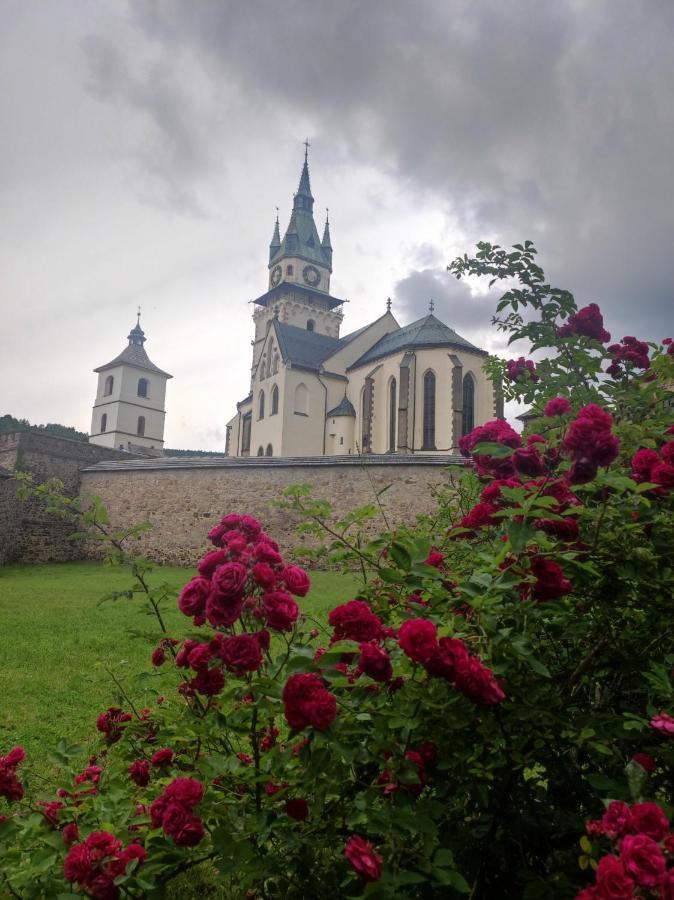 Krizkov Dom Apartment Kremnica Luaran gambar
